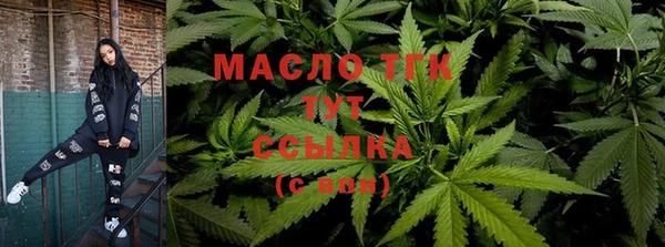 сатива Переславль-Залесский