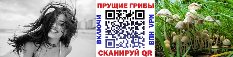 Галлюциногенные грибы GOLDEN TEACHER  Купить закладки  Курильск 